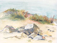 Marina Park