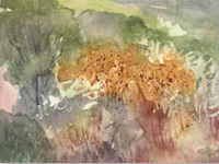 Sundown Meadow