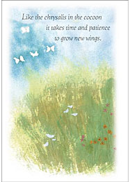 Susan Florence Greeting Cards